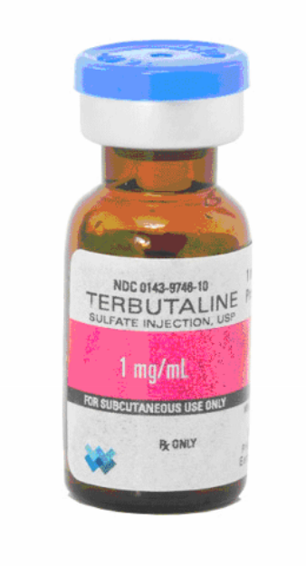 Terbutaline A Digital Workflow From Crystallographic Structure To